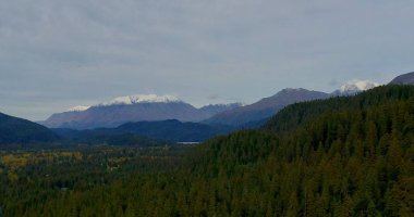 Alaska'da buzul manzarası 