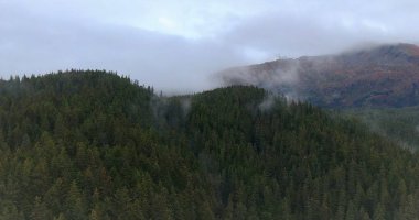 Alaska 'nın vahşi doğasının sonbahar manzarası