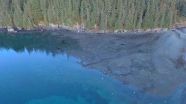 Diriliş Körfezi Alaska 'dan manzara 