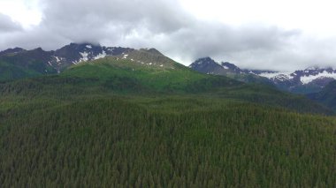 Alaska 'da yaz buzulları 