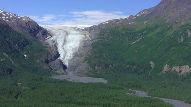 Alaska 'da yaz buzulları 