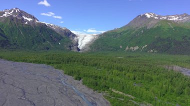 Alaska 'da yaz buzulları ve dağlar 