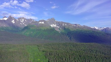 Alaska 'da yaz buzulları ve dağlar 