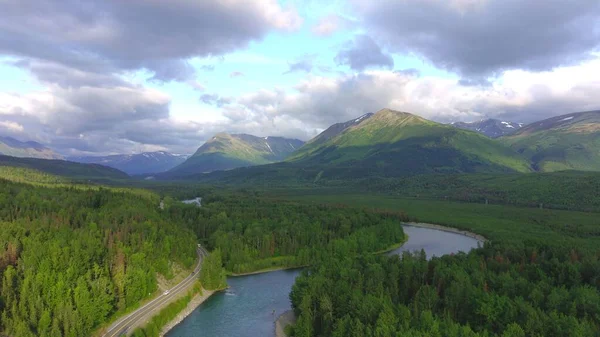 Zomer Grizzly Beren Alaska — Stockfoto