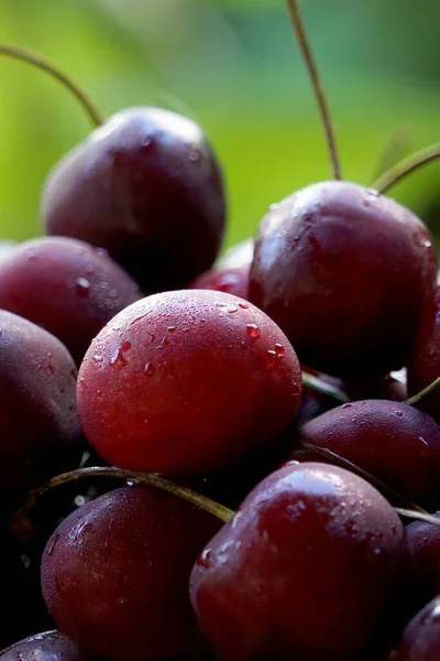 Cerise Fruit Naturel Nature Rouge Gouttes Eau Délicieux Juteux — Photo