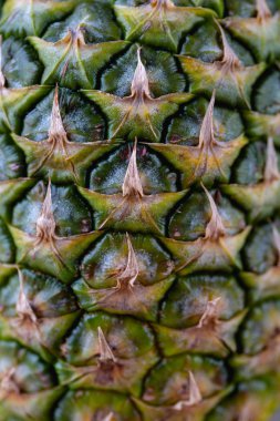 Ananas görüntüyü kapat