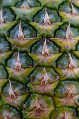 Ananas görüntüyü kapat