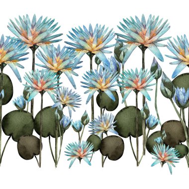 Beyaz arka planda Lotus mavi suluboya deseni. Dikişsiz desen yaz ve bahar. Mısır çiçekleri, su zambak