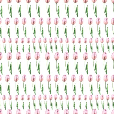 Beyaz arka planda pembe lalelerin kusursuz suluboya desenleri. Uluslararası Kadınlar Günü. Tasarım, kart, baskı veya arkaplan için, tekstil çiçek deseni, narin çiçekler, sarı, mavi ve pembe çiçekler