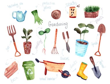 el çizilmiş izole tasarım bahçecilik elemanları 