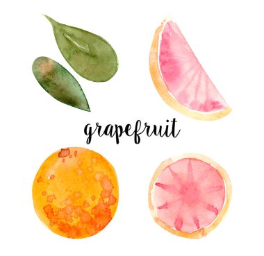 Greyfurt, dilim suluboya seti