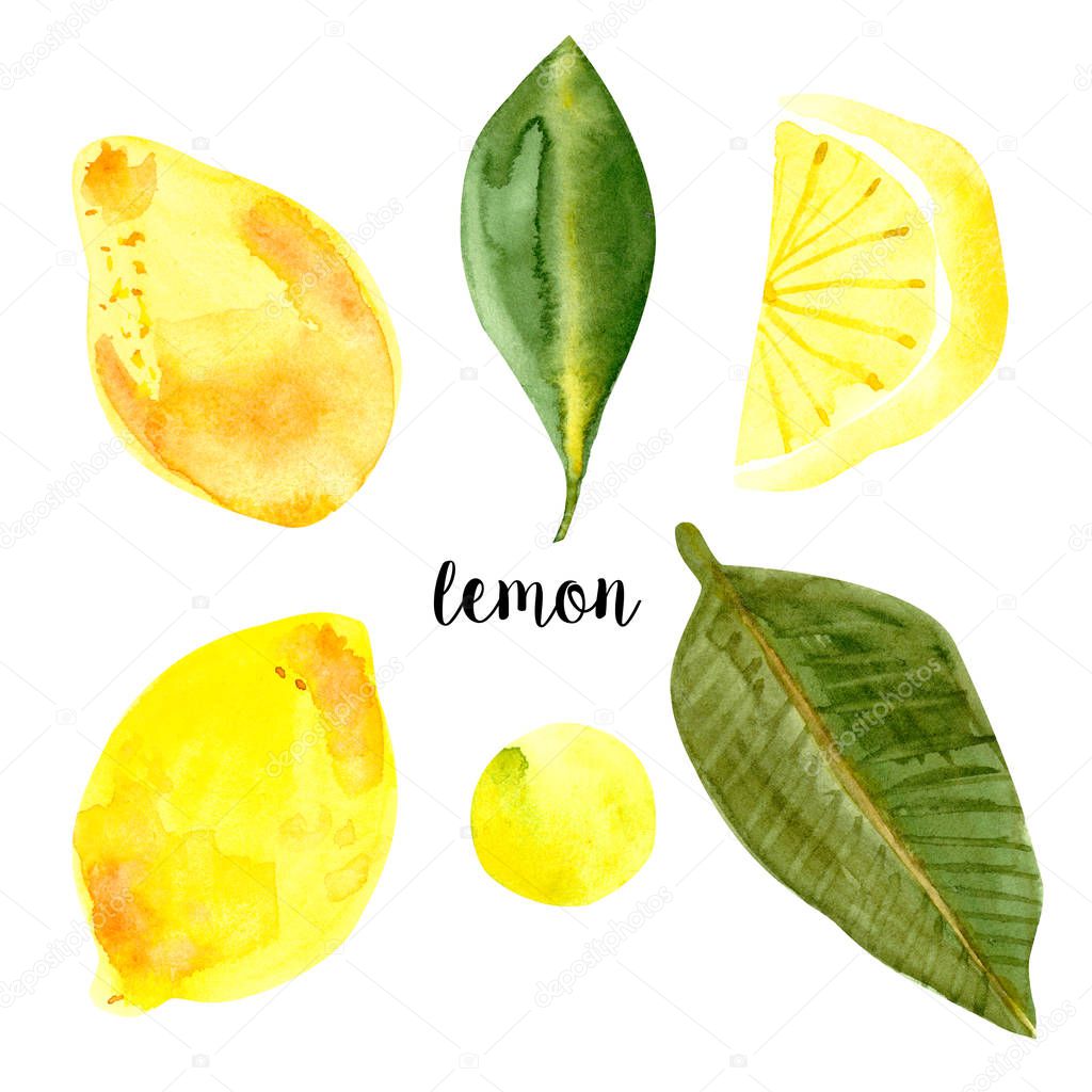 lemon collection watercolor, logo