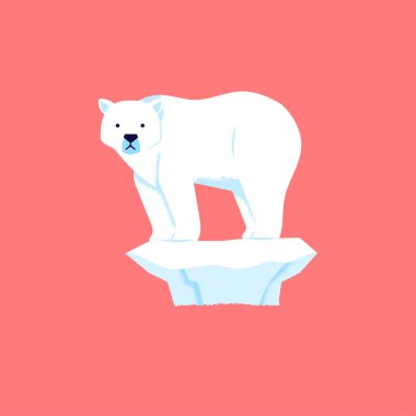 kutup ayısı duruyor ve buz eriyor çünkü üzgün görünüyor, küresel ısınma kutup ayıları kırmak için soğuk ortam neden olur ve o üzgün görünüyor