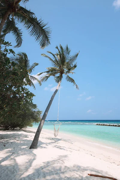 Güzel tropikal Maldivler plaj — Stok fotoğraf