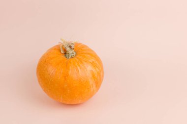 Kabak turuncu zemin üzerine