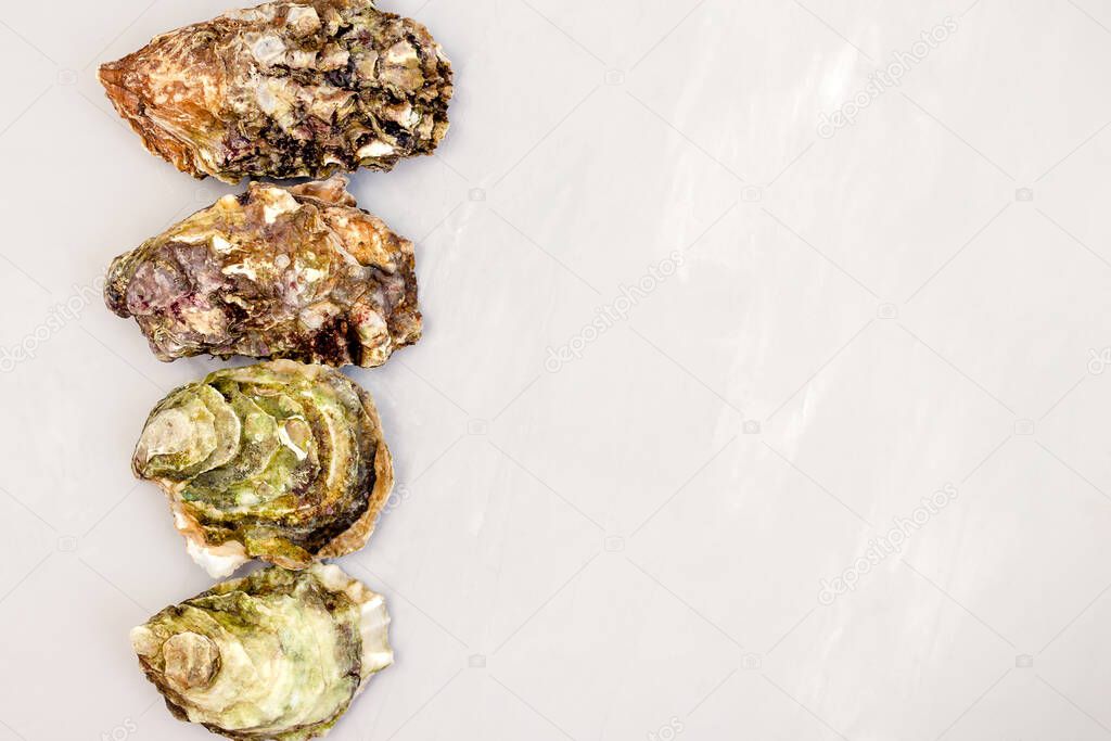 Closed oysters on grey table. Top view with copy space.  Oyster bar. Seafood. Oysters concept. Party food. 