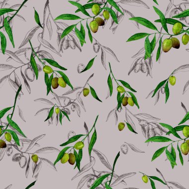 Sorunsuz illüstrasyon. Zeytin dalı ile desen.