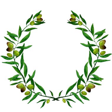 İzole illüstrasyon. Zeytin taç.