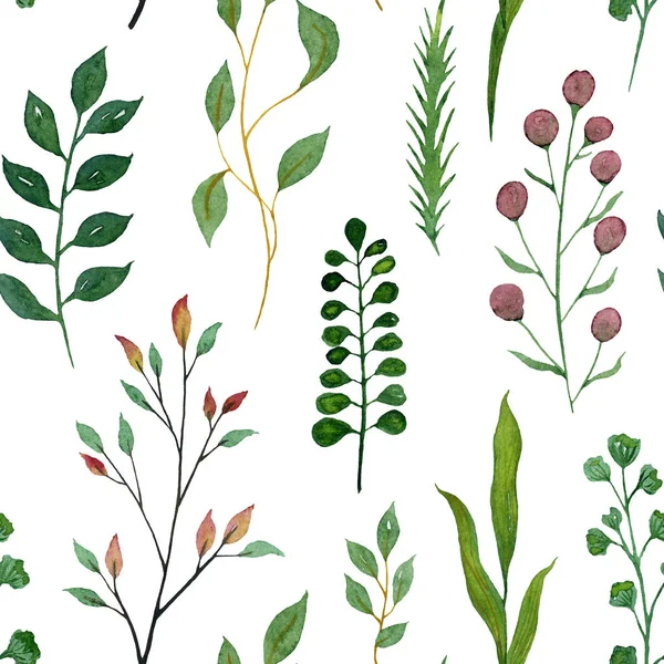 无缝的水彩插图。植物和 l 的绿色分支 — 图库照片