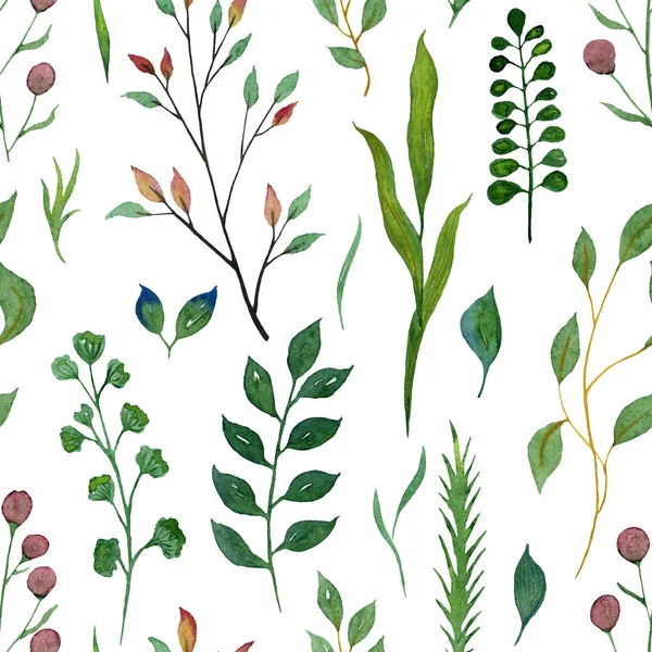 Seamless watercolor illustration. Green branches of plants and l — Stock Photo, Image