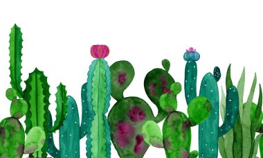 Suluboya afiş kaktüsler ve sulu çiçekler.