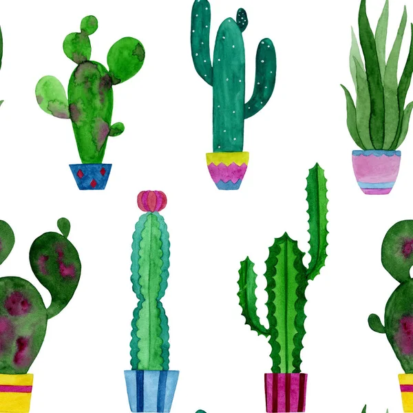 Modello acquerello di cactus e fiori succulenti . — Foto Stock
