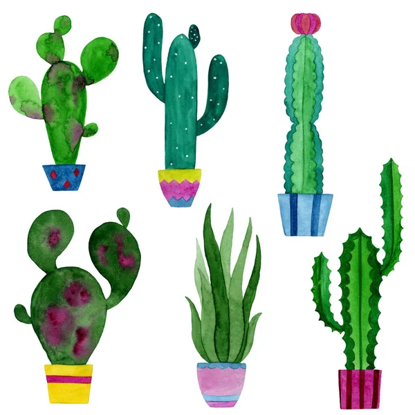 Set acquerello di cactus e fiori succulenti . — Foto Stock