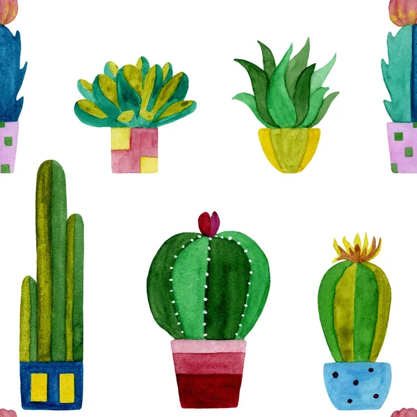 Pola warna air dari bunga cacti dan sukkulen . — Stok Foto