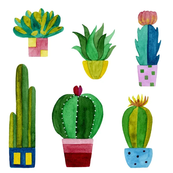 Set acquerello di cactus e fiori succulenti . — Foto Stock