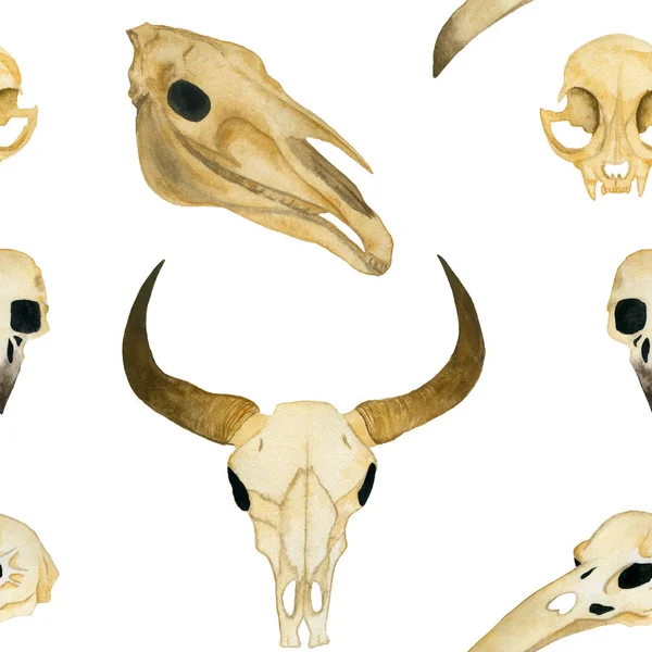 Seamless watercolor illustration. Animal skulls. Skull of a bull