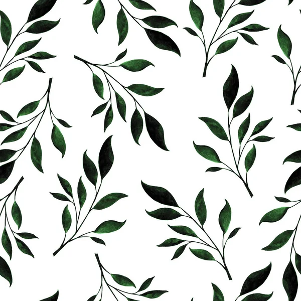 Watercolor seamless pattern of plant twigs. — Stock Photo, Image