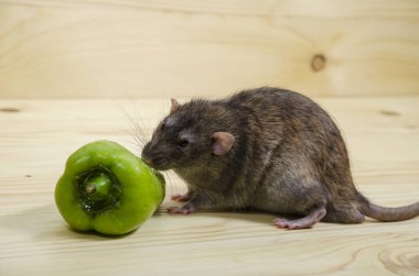 Bir fare ve ahşap bir masa üzerinde tatlı biber.