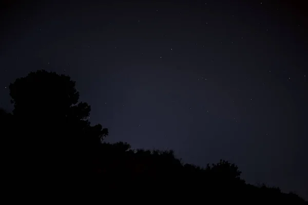 Estrellas Con Vegetación Montaña —  Fotos de Stock