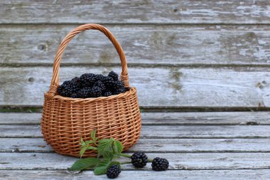 Küçük sepet içinde taze böğürtlen