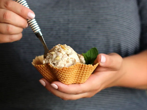 Vegan ice-cream with coconut milk and peanut — Stock Photo, Image