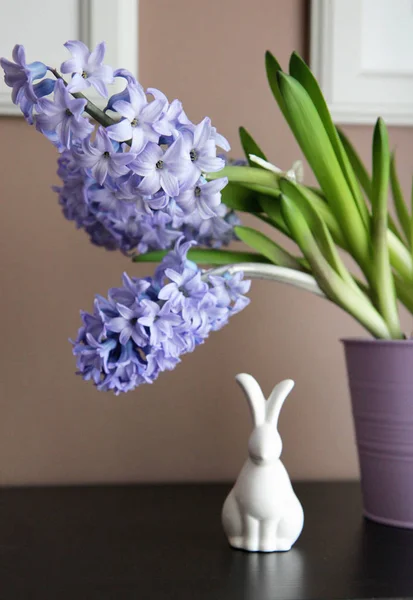 Simple, modern Easter decoration with hyacinth bulbs, and minimalist ceramics