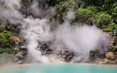 Umi Jigoku, engl olarak adlandırılan ünlü jeotermal kaplıcalar, detay görünümü. deniz cehennemi, Beppu, Oita, Japonya, Asya.
