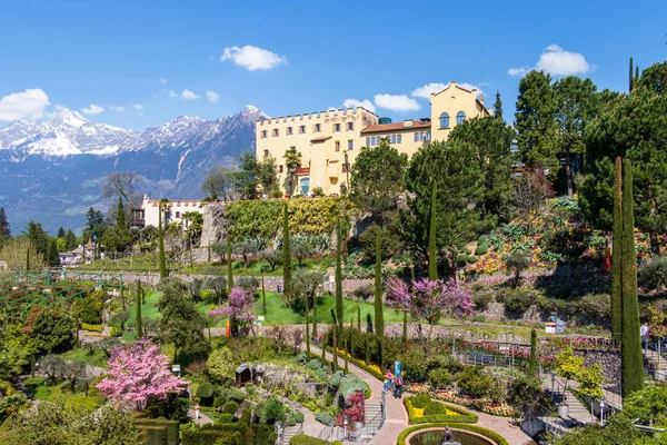 Meran alpleri manzara Trauttmansdorff Kale ve botanik bahçeleri panoramik görünümü. Merano, Province Bolzano, Güney Tirol, İtalya.