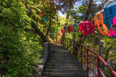 Yol ve Adımlar Kore Budist Tapınak Kompleksi Guinsa birçok lotus fenerler ile Budaların doğum günü kutlamak için. Guinsa, Danyang, Güney Kore, Asya.