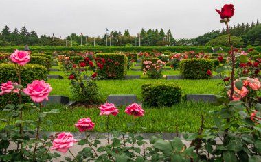 Busan, Güney Kore, Asya Kore Savaşı Birleşmiş Milletler (Uno) Anıt Mezarlığı içinde bitki örtüsü ile Ana Alan.