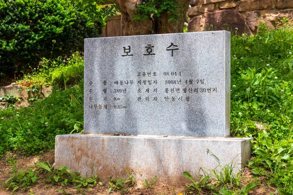 韓国のビョンサン・ソウォン儒教アカデミーの記念碑。安東, 韓国, アジア. — ストック写真