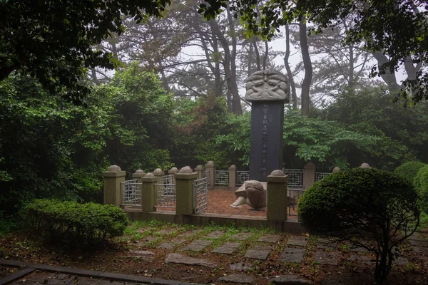 Large Tortoise Monument inside Dongbaek Park on a foggy day. Haeundae-gu, Busan, South Korea. Asia. — Stock Photo, Image