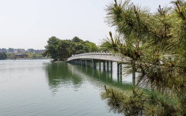 Ünlü Brigde, ada ve gölet faaliyetleri ile Ohori Park. Chuo-ku, Fukuoka, Japonya, Asya.