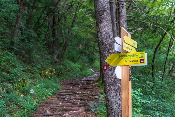 Yön tabelası Hermann Kalesi 'ne giden yolu gösteriyor. Birinci Dünya Savaşı Kalesi, Rombon Dağı yakınlarında. Bovec, Gorizia, Slovenya.