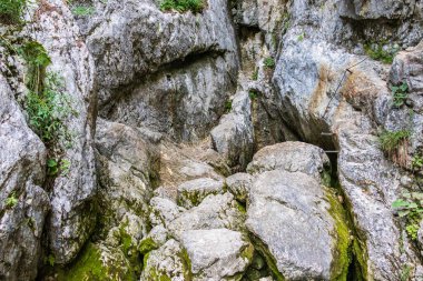 Soča Nehri'nin Kaynağına Giriş Yolu, Julian Alpleri'ndeki Ana Gölet Mağarası. Bovec, Gorizia, Slovenya, Avrupa.