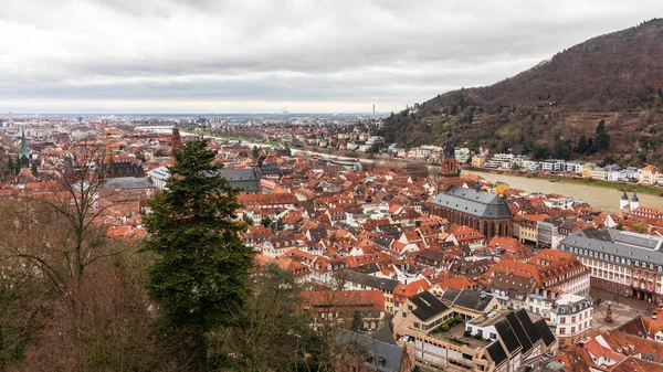 Kale Den Eski Heidelberg City Baden Wuerttemberg Almanya Kadar Panoramik — Stok fotoğraf