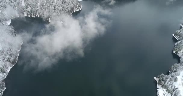 Jezioro Ritsa Nowy Rok Wakacje Styczniu Górach Abchazji Gruzja Serii — Wideo stockowe