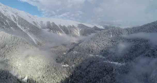 Karlı Dağ Zirveleri Gürcistan Abhazya Ritsa Gölü Çevresinde — Stok video