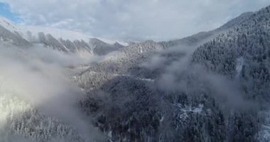 Karlı dağ zirveleri (Gürcistan Abhazya'da Ritsa Gölü çevresinde)