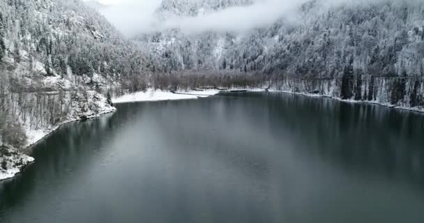 Ritsa Jezero Novoroční Svátky Lednu Horách Abcházie Gruzie Řadu Jedinečných — Stock video